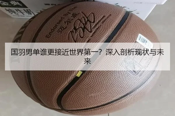国羽男单谁更接近世界第一？深入剖析现状与未来
